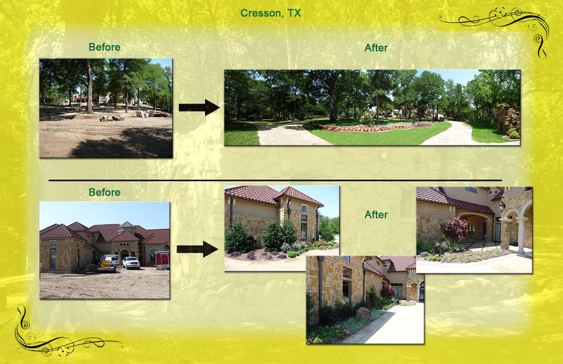 Services Mike S Garden Centers Fort Worth Southlake Pause